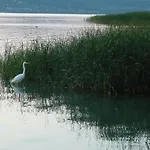 Aranyhid Hotel Balatonboglar