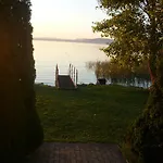 Aranyhid