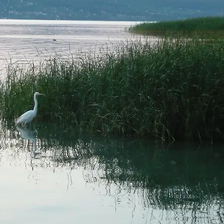 Aranyhid Hotel Balatonboglár