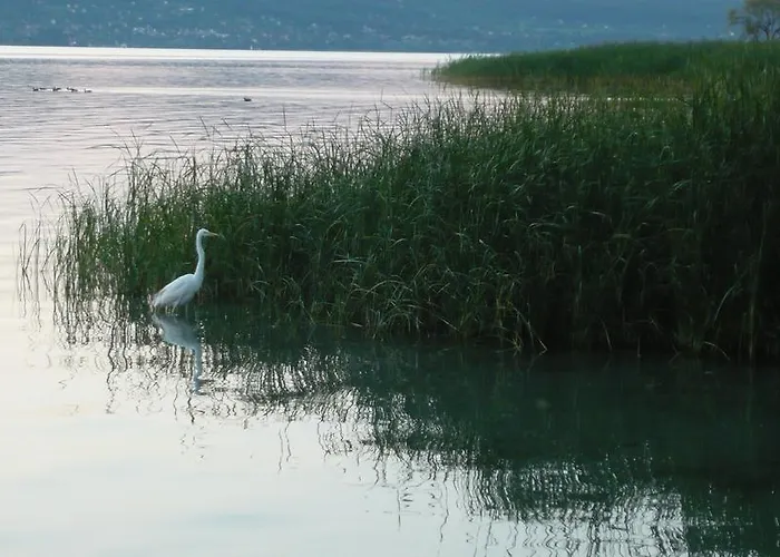 Aranyhid Hotel Balatonboglár